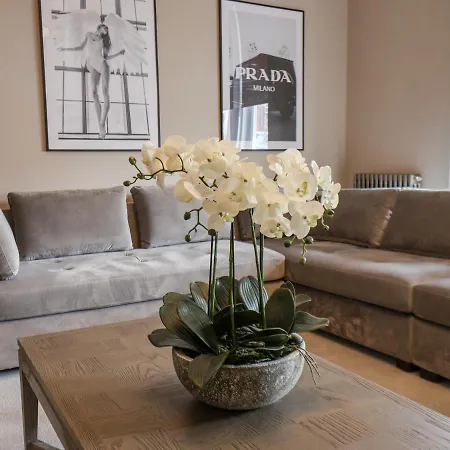 Nyaraló Church View